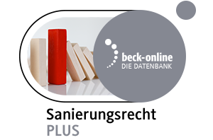 Sanierungsrecht PLUS Bild
